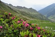 80 Dal Passo (2108 m) vista sulla Valle di Tartano